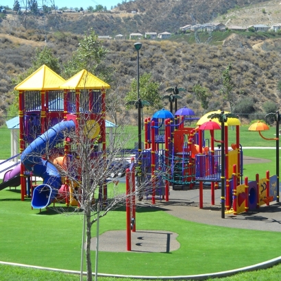 Synthetic Grass in Newcomb, New Mexico