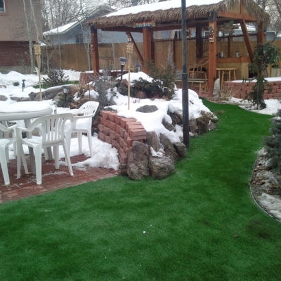 Synthetic Grass in Los Chaves, New Mexico