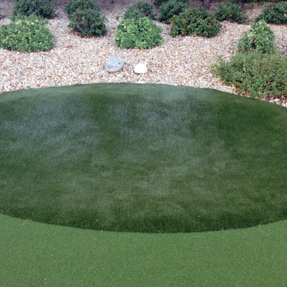 Synthetic Grass in Luis Lopez, New Mexico