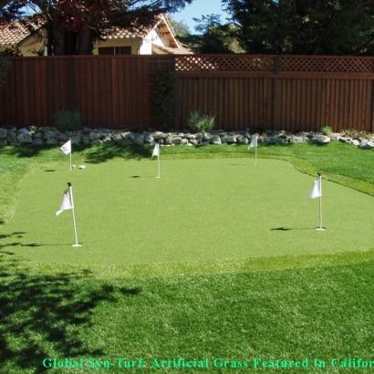 Artificial Grass in Sandia Heights, New Mexico