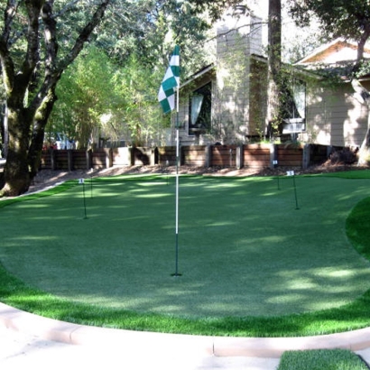 Installing Artificial Grass Cedro, New Mexico Putting Green Carpet, Backyard Landscaping