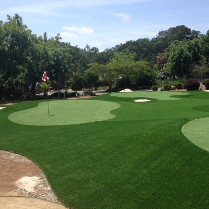 Installing Artificial Grass Pastura, New Mexico Outdoor Putting Green, Front Yard Ideas