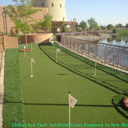 Putting Greens & Synthetic Turf in Los Ranchos de Albuquerque, New Mexico