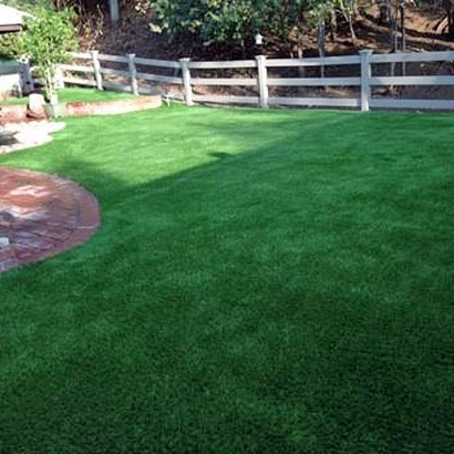 Synthetic Turf in Luna, New Mexico