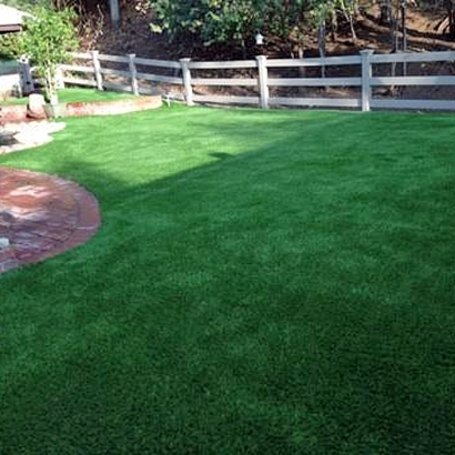 Synthetic Turf in Luna, New Mexico