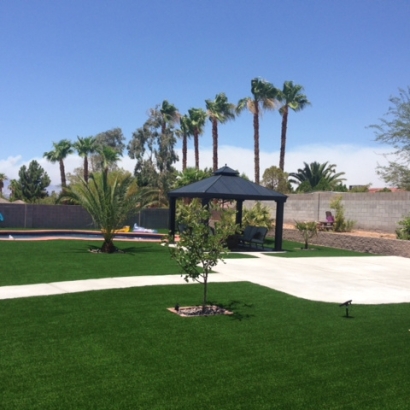 Ponderosa Pine, New Mexico Grass Artificial