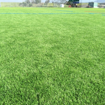 Artificial Turf in San Mateo, New Mexico