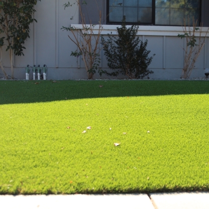 Artificial Turf in Alamo, New Mexico