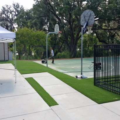 Outdoor Carpet Chamisal, New Mexico Stadium, Commercial Landscape