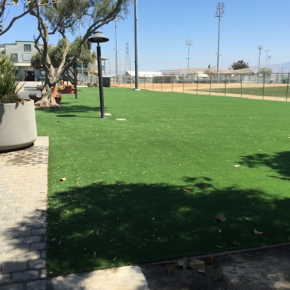 Artificial Grass in Truchas, New Mexico