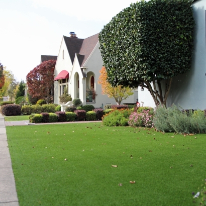 Synthetic Grass in San Ysidro, New Mexico