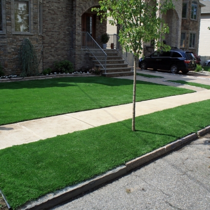 Synthetic Turf in Elephant Butte, New Mexico