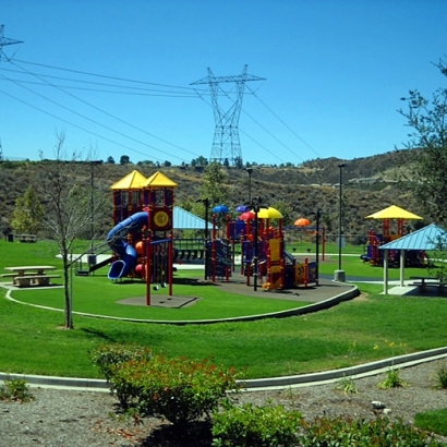 Synthetic Turf in Pie Town, New Mexico