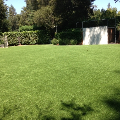 Outdoor Carpet San Jose, New Mexico Sports Athority, Backyard Landscaping Ideas