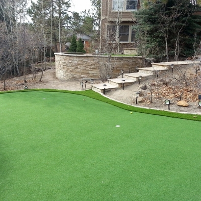 Outdoor Carpet Santa Ana Pueblo, New Mexico Artificial Putting Greens, Backyard Makeover