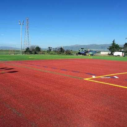 Artificial Grass in La Cienega, New Mexico