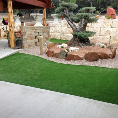 Fake Grass in Buckhorn, New Mexico