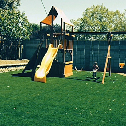 Synthetic Grass in Chaves County, New Mexico