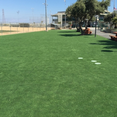 Artificial Grass in La Villita, New Mexico