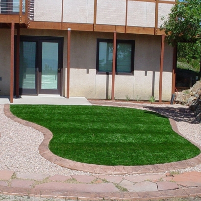 Fake Grass in Mesita, New Mexico - Better Than Real