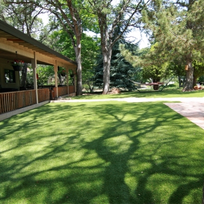 Synthetic Grass in Crystal, New Mexico