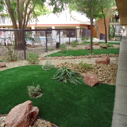 Synthetic Grass in Rio Communities, New Mexico