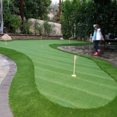 Artificial Grass in Navajo, New Mexico