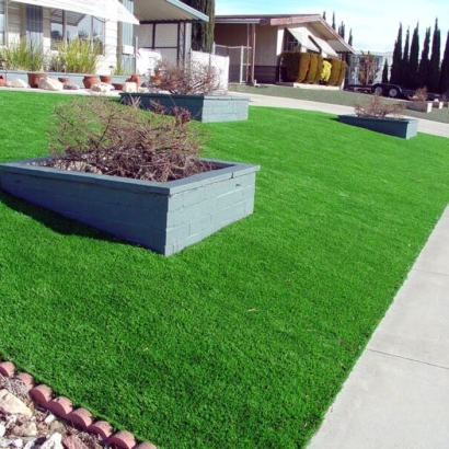 Synthetic Turf: Resources in San Felipe Pueblo, New Mexico