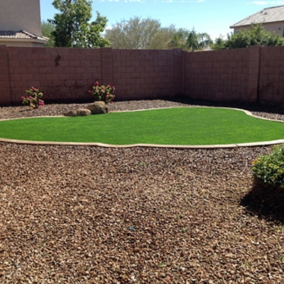 Synthetic Grass in Mesilla, New Mexico