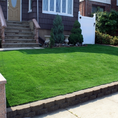 Synthetic Grass in Newcomb, New Mexico