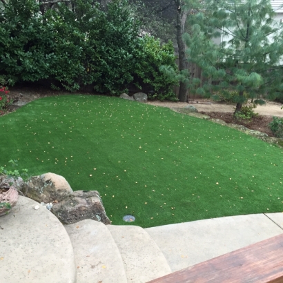 Synthetic Grass Cost Torreon, New Mexico City Landscape, Backyard Designs