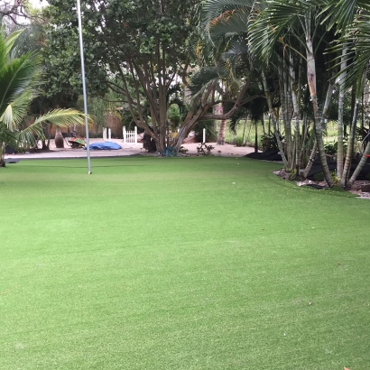 Synthetic Grass Cost Villanueva, New Mexico City Landscape, Commercial Landscape