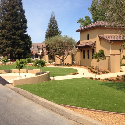 Artificial Grass in Dixon, New Mexico