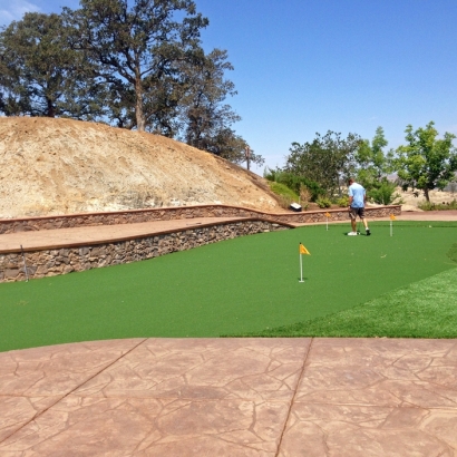 Indoor & Outdoor Putting Greens & Lawns Capulin, New Mexico