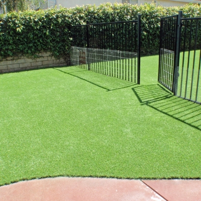 Synthetic Grass Golden, New Mexico Pictures Of Dogs, Front Yard Ideas
