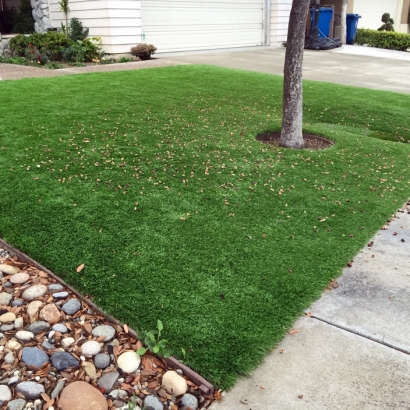 Synthetic Grass in Chaves County, New Mexico