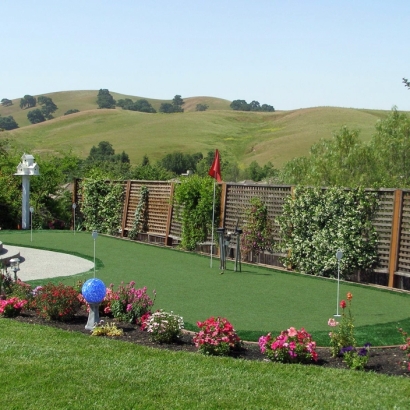 Synthetic Grass Hanover, New Mexico Landscaping Business, Backyard Designs