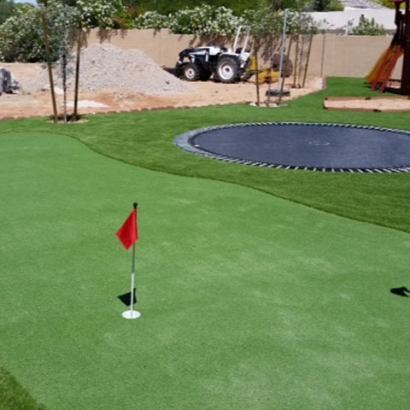 Artificial Grass in La Villita, New Mexico