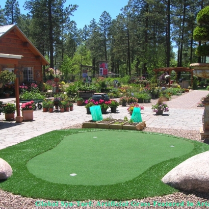 Synthetic Grass Lee Acres, New Mexico Indoor Putting Green, Backyard Makeover