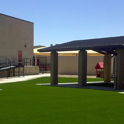 Synthetic Turf Depot in Midway, New Mexico