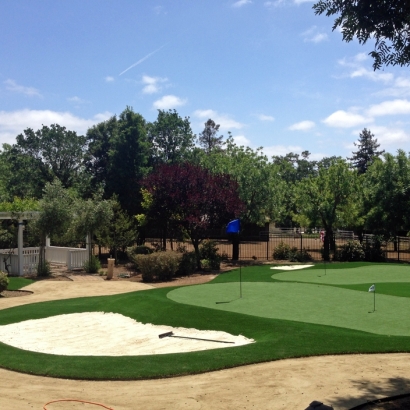 Synthetic Grass San Rafael, New Mexico Putting Green Flags, Front Yard Ideas