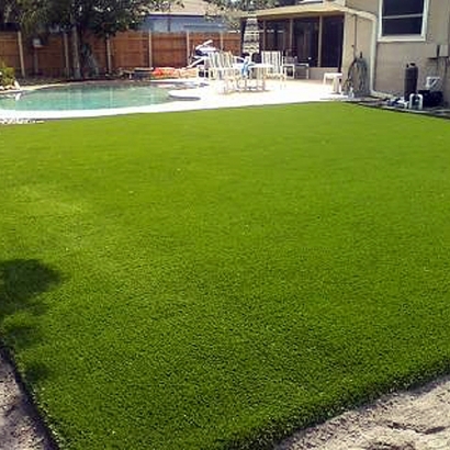 Synthetic Grass Willard, New Mexico Design Ideas, Swimming Pools