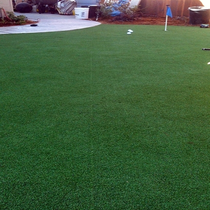 Synthetic Lawn Eagle Nest, New Mexico Putting Greens, Backyard Landscape Ideas