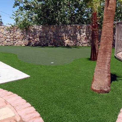 Synthetic Turf: Resources in San Felipe Pueblo, New Mexico