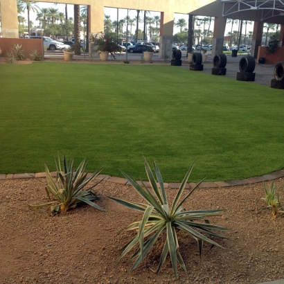 Artificial Grass in Agua Fria, New Mexico