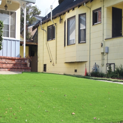 Synthetic Lawns & Putting Greens in Cliff, New Mexico