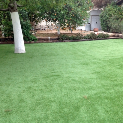 Synthetic Turf Depot in Jarales, New Mexico