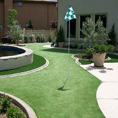 Synthetic Turf Monterey Park, New Mexico Putting Green Carpet, Backyard Ideas