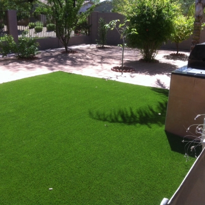 Synthetic Turf Pojoaque, New Mexico Landscaping, Dog Kennels