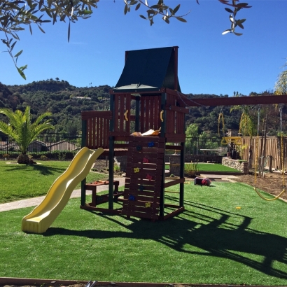 Artificial Grass in Sandia Heights, New Mexico